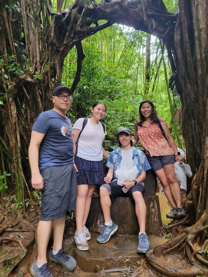 Picture 5 for Activity Oahu: Waikiki E-Bike Ride and Manoa Falls Hike