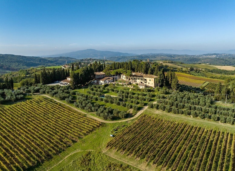 Picture 1 for Activity Montespertoli: Poggio Capponi Farm Chianti Wine Tour