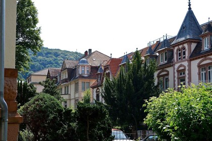 Yksityinen opastettu Heidelbergin kierros Frankfurtista junalla