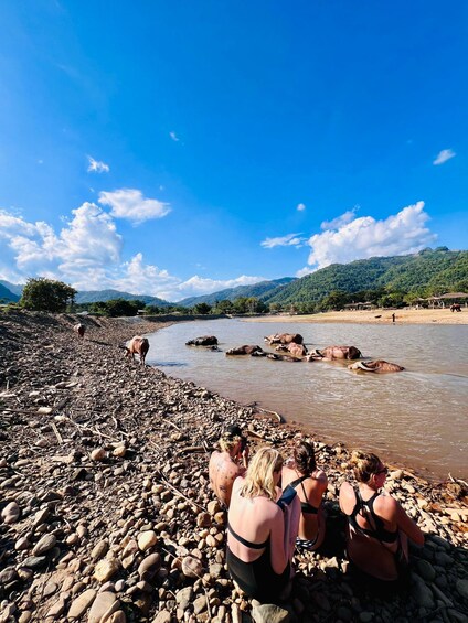 Picture 4 for Activity Chiangmai half day tour- Waterfall & Tubing