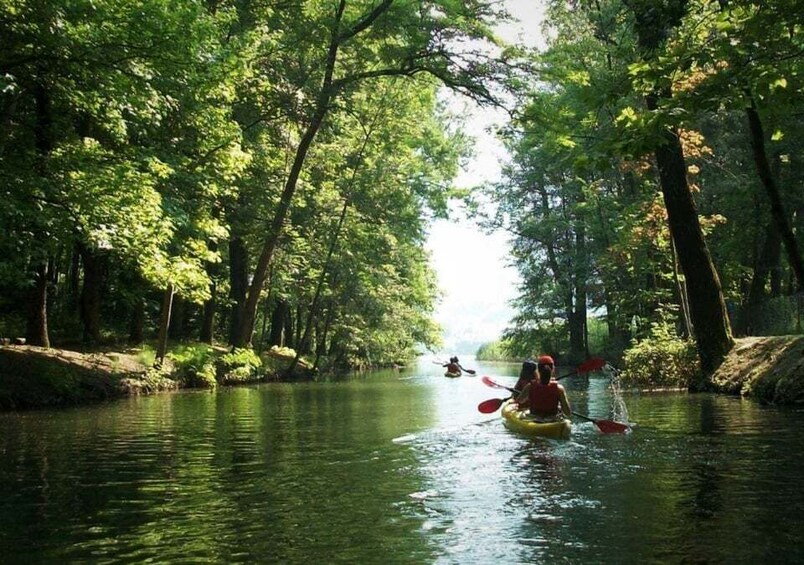 Picture 2 for Activity Endine Lake: half day Kayak trip