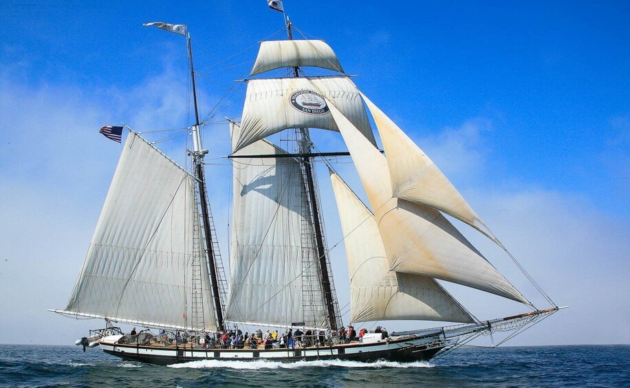 Picture 1 for Activity San Diego: Californian Tall Ship Sailing and Maritime Museum