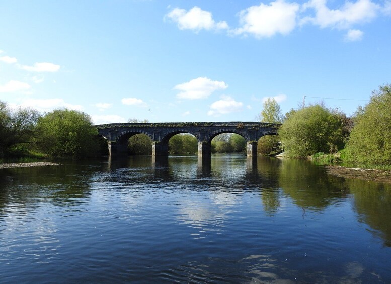 Picture 3 for Activity Kilkenny: Guided City Boat Tour with Kilkenny Castle Views