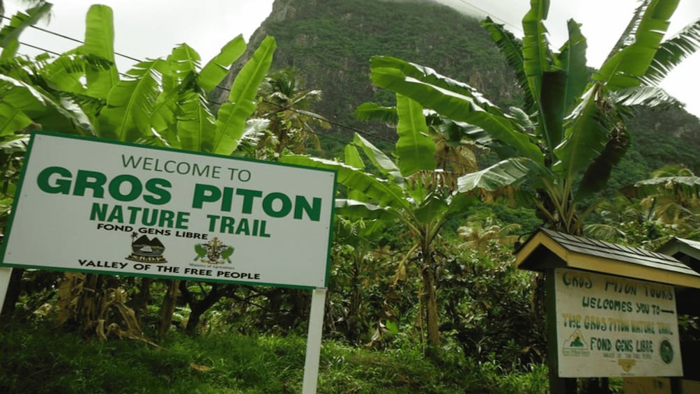 Picture 1 for Activity Majestic Gros Piton Hiking Day Trip