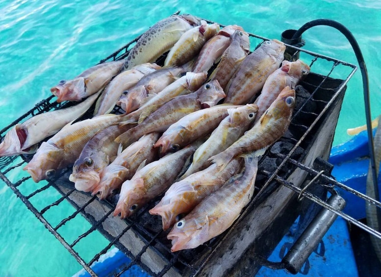 Picture 3 for Activity Rhodes Town: Fishing Boat Trip with Fish Meal and Swim Stops