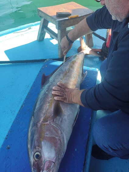 Picture 1 for Activity Rhodes Town: Fishing Boat Trip with Fish Meal and Swim Stops