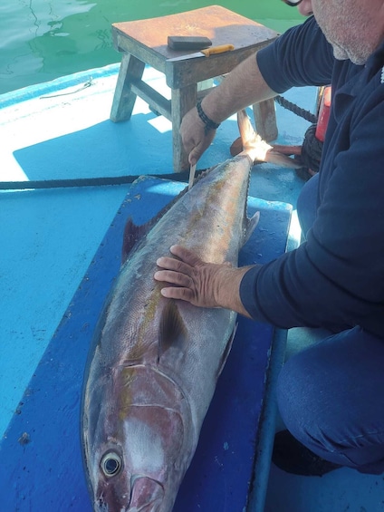 Picture 1 for Activity Rhodes Town: Fishing Boat Trip with Fish Meal and Swim Stops