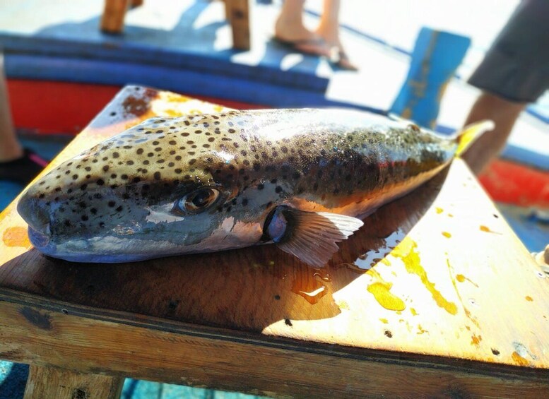 Picture 4 for Activity Rhodes Town: Fishing Boat Trip with Fish Meal and Swim Stops