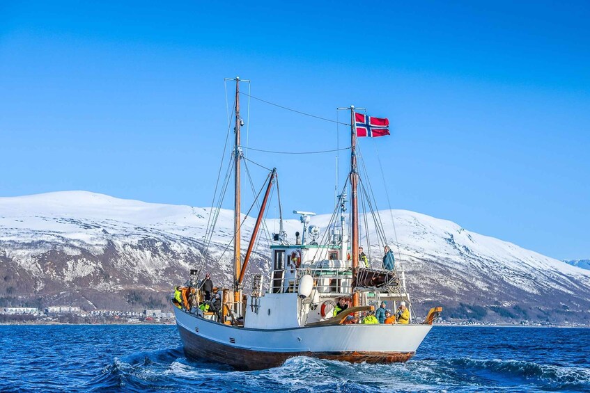 Picture 1 for Activity Tromsø: Fjord & History Cruise