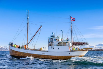 Tromsø: Fjord History Cruise with Snack and Drinks