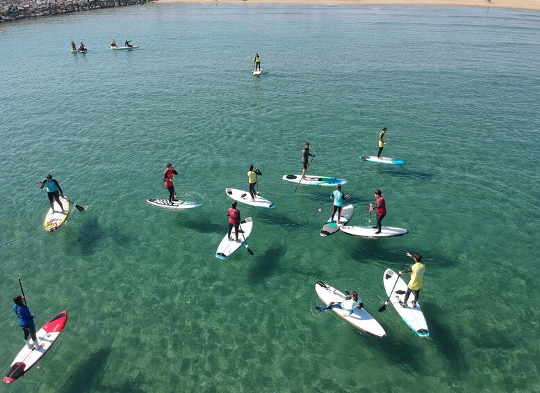 Picture 1 for Activity Valencia: Malvarrosa Beach Standup Paddleboard Rental