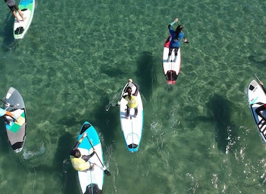 Valencia: Malvarrosa Beach Standup Paddleboard Rental