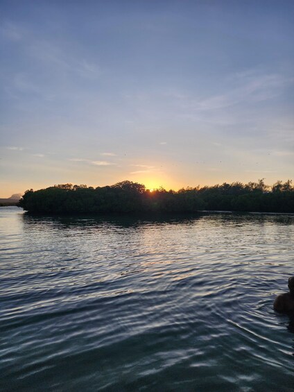 Picture 15 for Activity Ile d'Ambre & Ile Aux Bernaches Fday with Lunch & Snorkeling