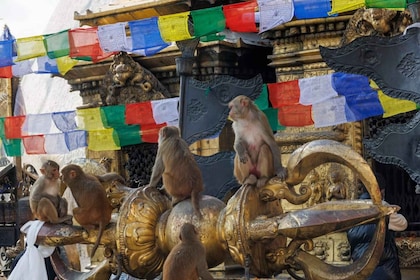 Walking Tour of Kathmandu (Half Day)