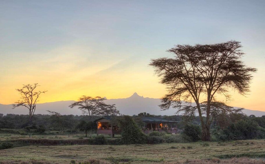 Picture 3 for Activity 3 Days, 2 nights Olpejeta Conservancy private safari