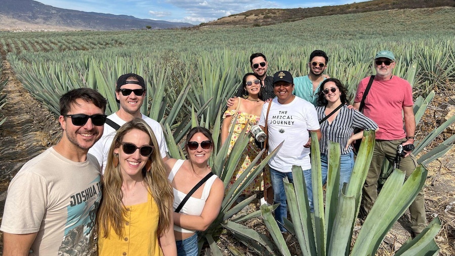 The Mezcal Journey