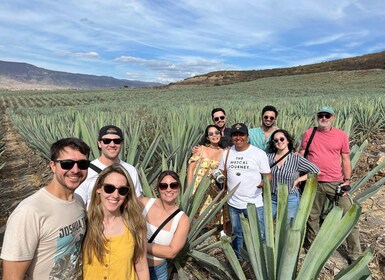 The Mezcal Journey