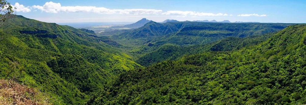 Picture 2 for Activity Mauritius: Black River Gorges Guided Hike with Hotel Pickup