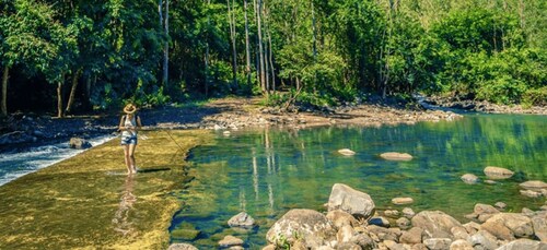 Mauritius: Guidet fottur i Black River Gorges med henting på hotellet