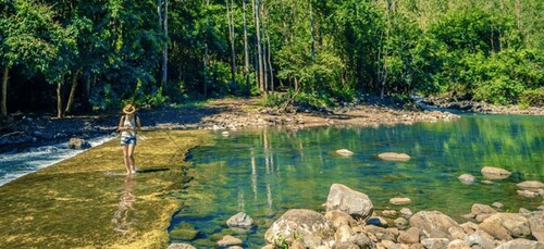 Mauritius: Black River Gorges begeleide wandeling met hotel pick-up