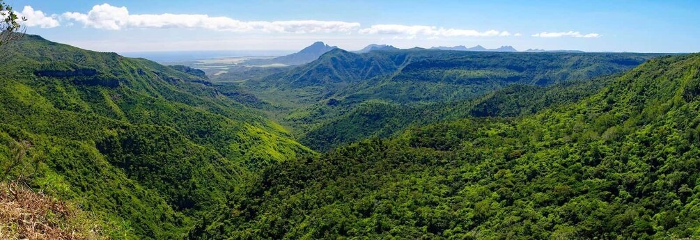 Picture 2 for Activity Mauritius: Black River Gorges Guided Hike with Hotel Pickup