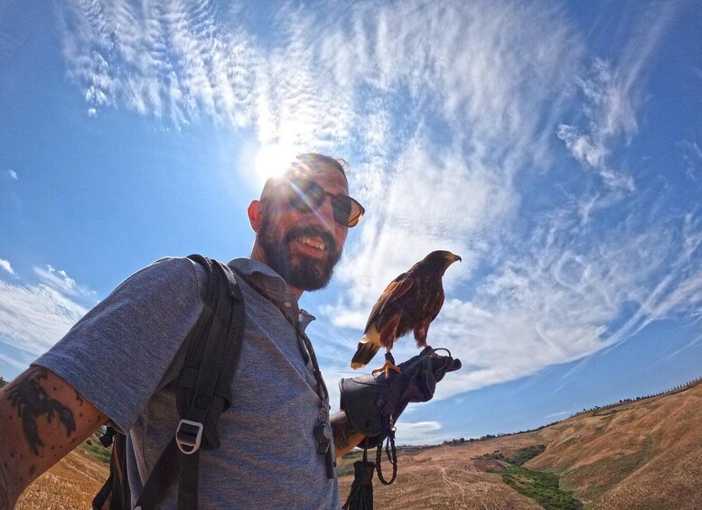 Picture 2 for Activity Experience with birds of prey in Tuscany