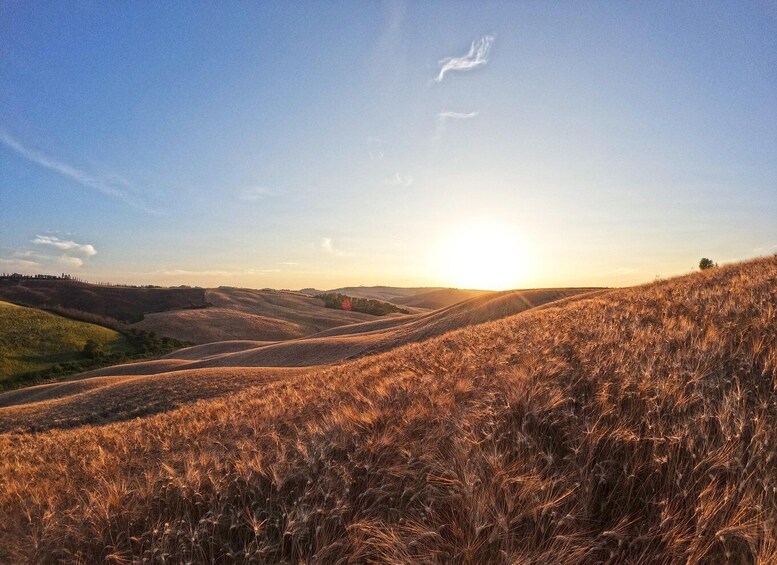 Experience with birds of prey in Tuscany