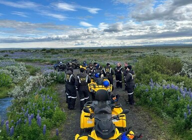 ATV guided trip close to dettifoss iceland