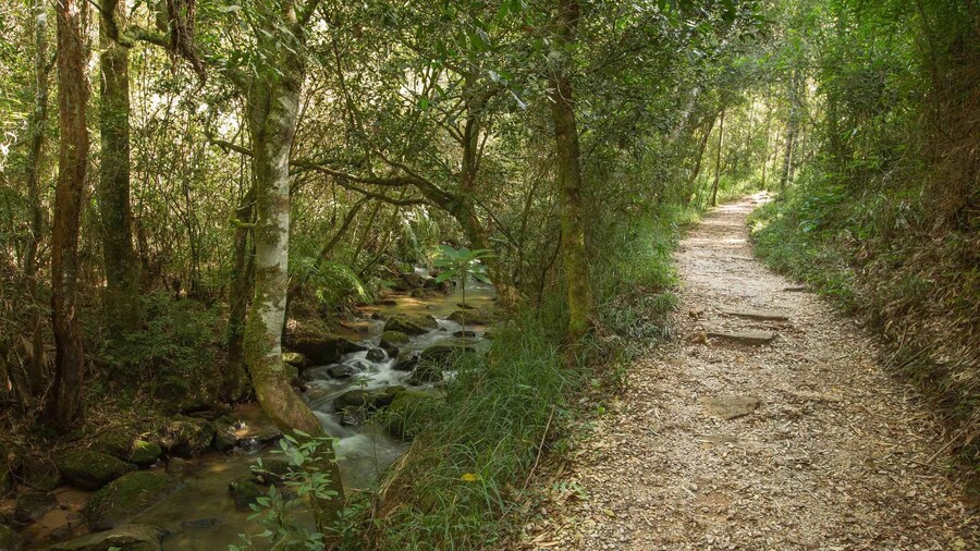 Stone and Nature: Vila Velha and Buraco do Padre, Paraná