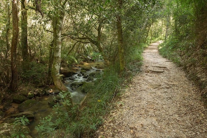 Stone and Nature: Vila Velha and Buraco do Padre, Paraná