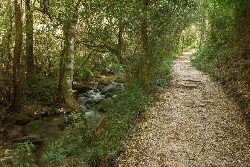 Stone and Nature: Vila Velha and Buraco do Padre, Paraná