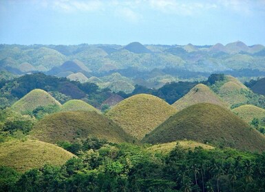 Bohol Day Tour from Cebu