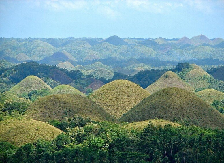 Bohol Day Tour from Cebu