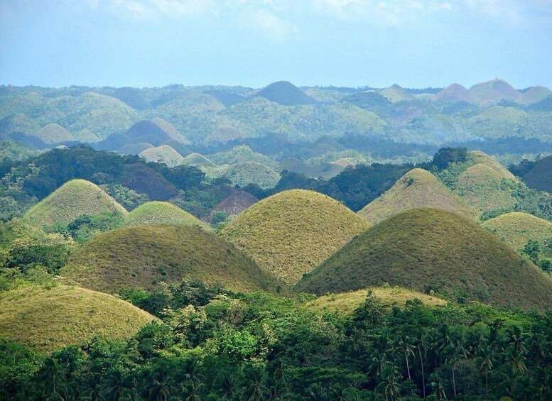 Bohol Day Tour from Cebu