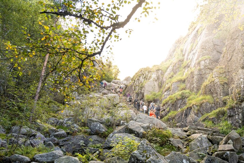 Picture 11 for Activity From Stavanger: Pulpit Rock Guided Hike with Pickup