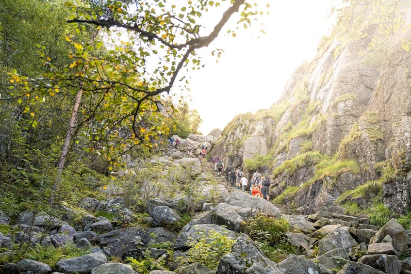 Picture 11 for Activity From Stavanger: Pulpit Rock Guided Hike with Pickup