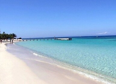 Roatan: West End Beach eller West Bay Beach halvdags Tur