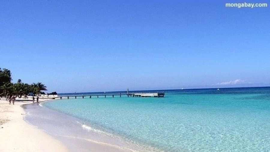 Roatan: West End Beach or West Bay Beach Half-Day Trip
