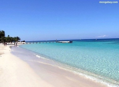 Roatan: West End Beach or West Bay Beach Half-Day Trip