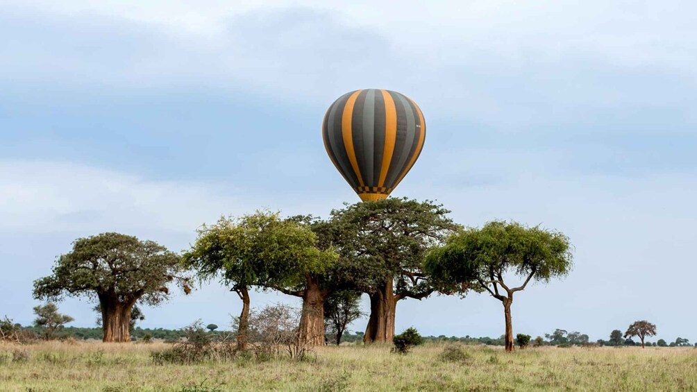 Picture 12 for Activity Tarangire: Balloon Safari and Bush Breakfast