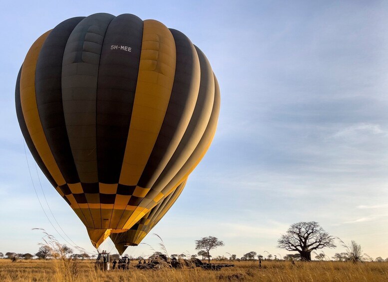 Picture 7 for Activity Tarangire: Balloon Safari and Bush Breakfast