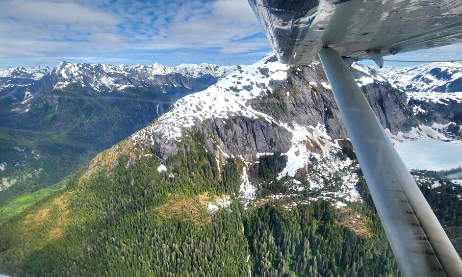 Picture 7 for Activity Ketchikan: Misty Fjords National Monument Floatplane Tour