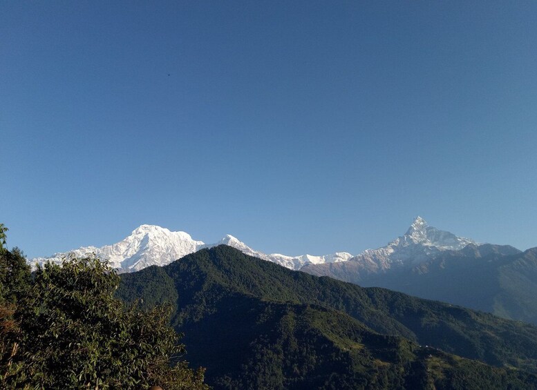 Picture 5 for Activity 1 N 2 Days easy Dhampus,Australian camp trek from Pokhara