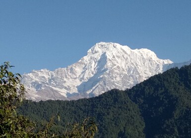 1 N 2 Tage leichter Dhampus, Australisches Camp Trekking von Pokhara