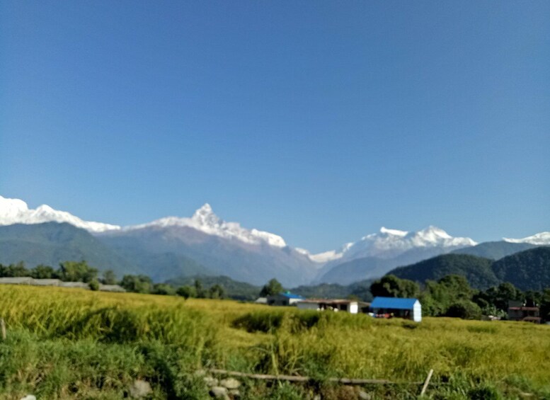 Picture 6 for Activity 1 N 2 Days easy Dhampus,Australian camp trek from Pokhara