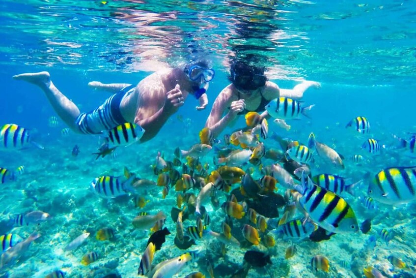 Picture 1 for Activity Gili Islands: Underwater Statues Cruise and Snorkeling