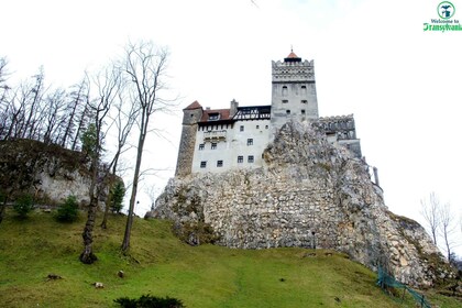 Visit Bear Sanctuary and Bran Castle from Brasov