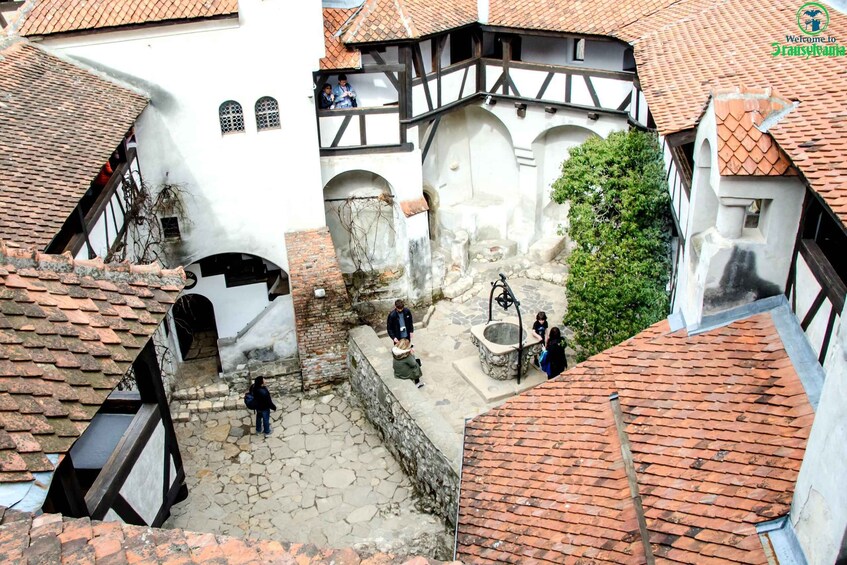 Picture 4 for Activity Visit Bear Sanctuary and Bran Castle from Brasov