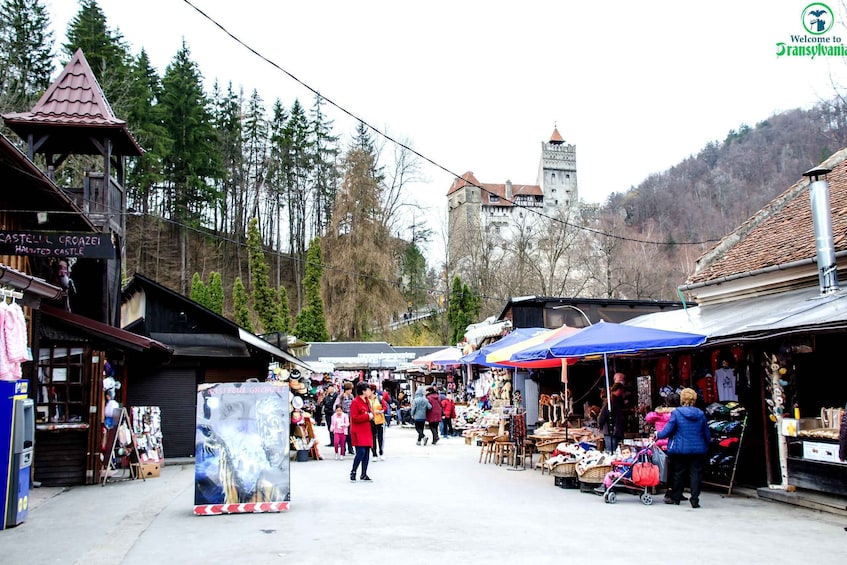 Picture 5 for Activity Visit Bear Sanctuary and Bran Castle from Brasov