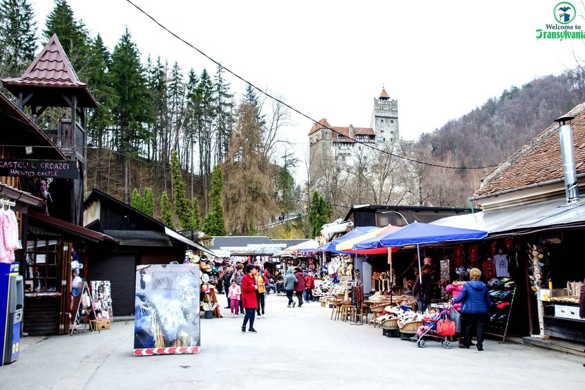 Picture 5 for Activity Visit Bear Sanctuary and Bran Castle from Brasov